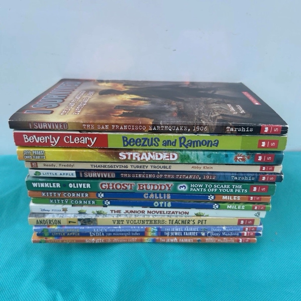 Lot of 13 Youth chapter Books  Collection
